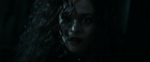 RdM1-Potterish13211.jpg