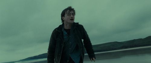 RdM1-Potterish13235.jpg