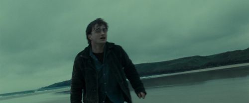 RdM1-Potterish13236.jpg