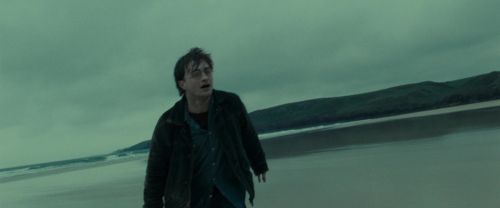 Click to view full size image
==============
RdM1-Potterish13237.jpg RdM1-Potterish13237.jpg