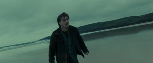 RdM1-Potterish13238.jpg