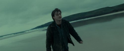 Click to view full size image
==============
RdM1-Potterish13239.jpg RdM1-Potterish13239.jpg