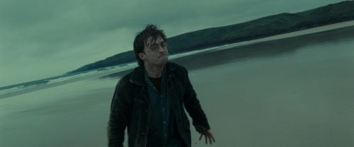 RdM1-Potterish13240.jpg