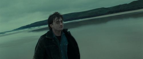 RdM1-Potterish13241.jpg