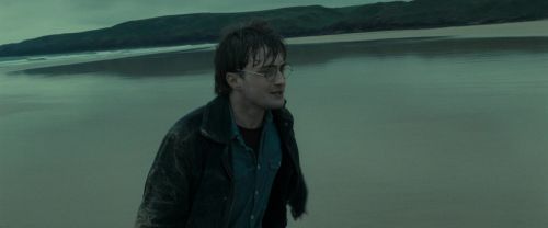 RdM1-Potterish13243.jpg