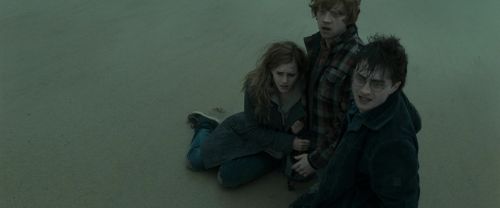 RdM1-Potterish13254.jpg