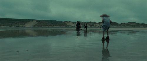Click to view full size image
==============
RdM1-Potterish13261.jpg RdM1-Potterish13261.jpg