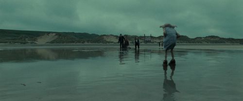 Click to view full size image
==============
RdM1-Potterish13263.jpg RdM1-Potterish13263.jpg
