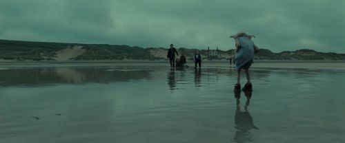 Click to view full size image
==============
RdM1-Potterish13265.jpg RdM1-Potterish13265.jpg