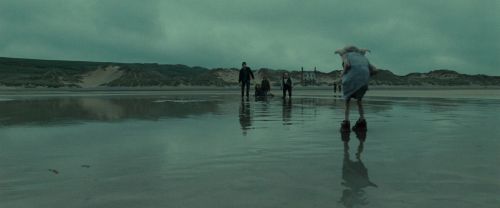 RdM1-Potterish13266.jpg