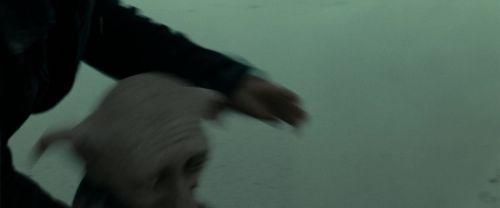 RdM1-Potterish13274.jpg