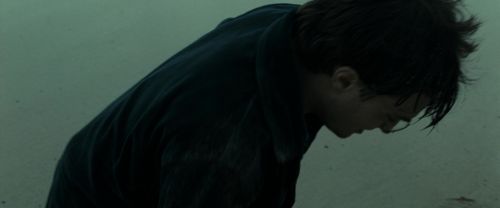 Click to view full size image
==============
RdM1-Potterish13277.jpg RdM1-Potterish13277.jpg