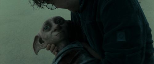 RdM1-Potterish13294.jpg