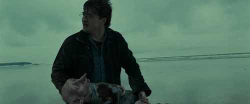 RdM1-Potterish13301.jpg