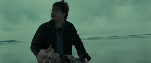 RdM1-Potterish13302.jpg