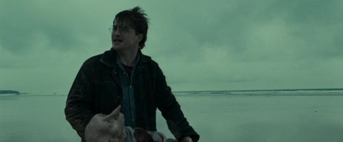 RdM1-Potterish13304.jpg