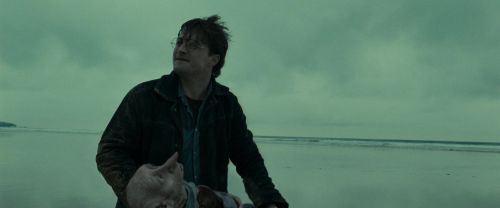 RdM1-Potterish13306.jpg
