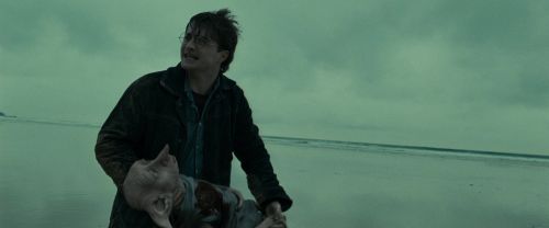RdM1-Potterish13308.jpg