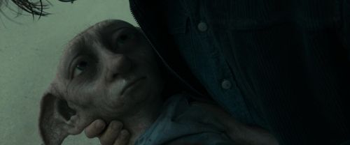 RdM1-Potterish13329.jpg