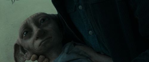 RdM1-Potterish13334.jpg