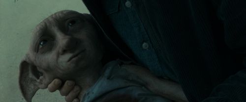 RdM1-Potterish13337.jpg
