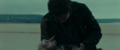 Click to view full size image
==============
RdM1-Potterish13340.jpg RdM1-Potterish13340.jpg