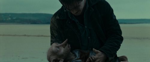 Click to view full size image
==============
RdM1-Potterish13341.jpg RdM1-Potterish13341.jpg
