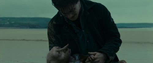 RdM1-Potterish13342.jpg