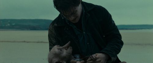 Click to view full size image
==============
RdM1-Potterish13343.jpg RdM1-Potterish13343.jpg