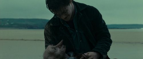 Click to view full size image
==============
RdM1-Potterish13344.jpg RdM1-Potterish13344.jpg