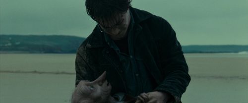 RdM1-Potterish13345.jpg