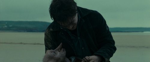 RdM1-Potterish13346.jpg