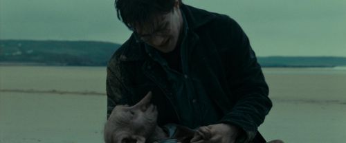 RdM1-Potterish13347.jpg
