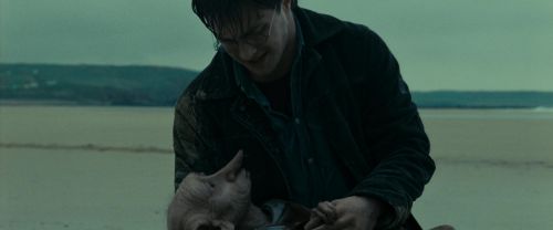Click to view full size image
==============
RdM1-Potterish13348.jpg RdM1-Potterish13348.jpg