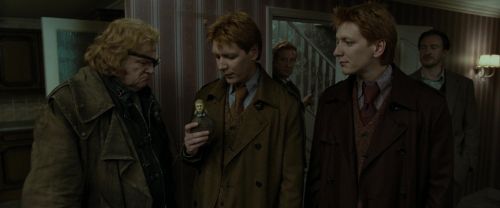 RdM1-Potterish1335.jpg