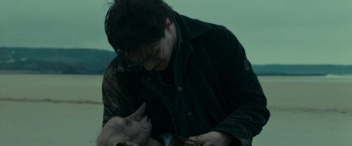 Click to view full size image
==============
RdM1-Potterish13350.jpg RdM1-Potterish13350.jpg