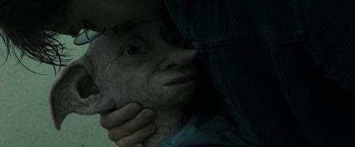 RdM1-Potterish13362.jpg