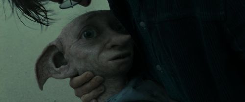 RdM1-Potterish13363.jpg
