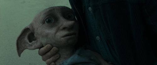 RdM1-Potterish13364.jpg
