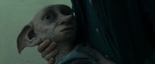 RdM1-Potterish13365.jpg
