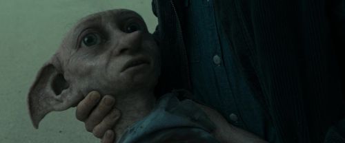 RdM1-Potterish13368.jpg