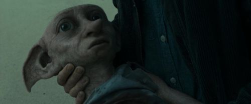 RdM1-Potterish13369.jpg