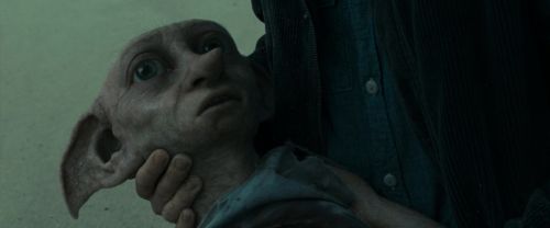 RdM1-Potterish13370.jpg