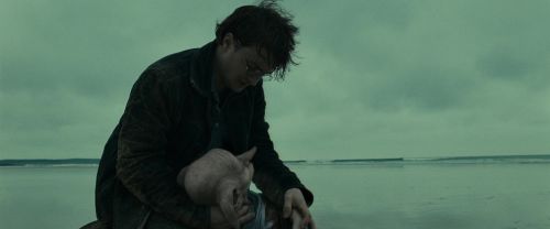 RdM1-Potterish13376.jpg