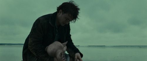 RdM1-Potterish13377.jpg