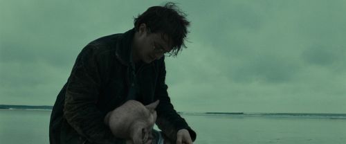 RdM1-Potterish13378.jpg