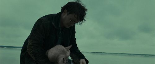 Click to view full size image
==============
RdM1-Potterish13380.jpg RdM1-Potterish13380.jpg