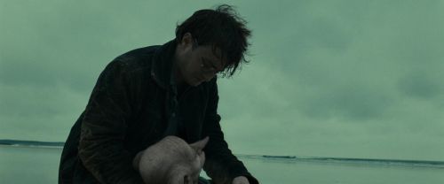 RdM1-Potterish13381.jpg