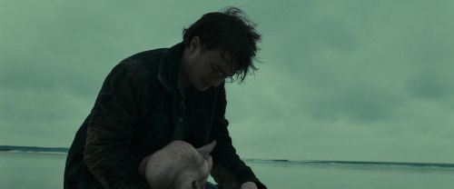 RdM1-Potterish13382.jpg