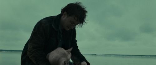 Click to view full size image
==============
RdM1-Potterish13383.jpg RdM1-Potterish13383.jpg